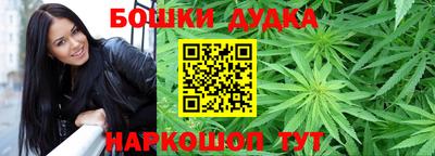 Альфа ПВП Моздок