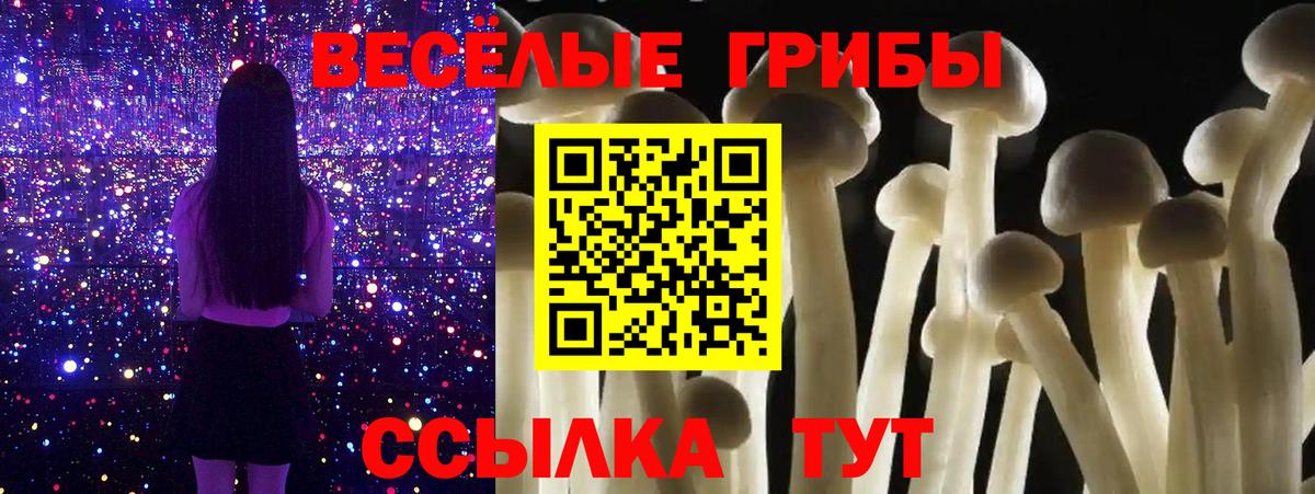Галлюциногенные грибы прущие грибы Удомля